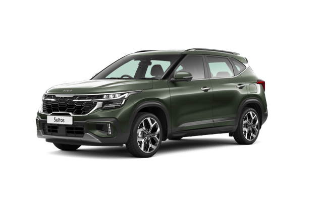 Color Pewter Olive